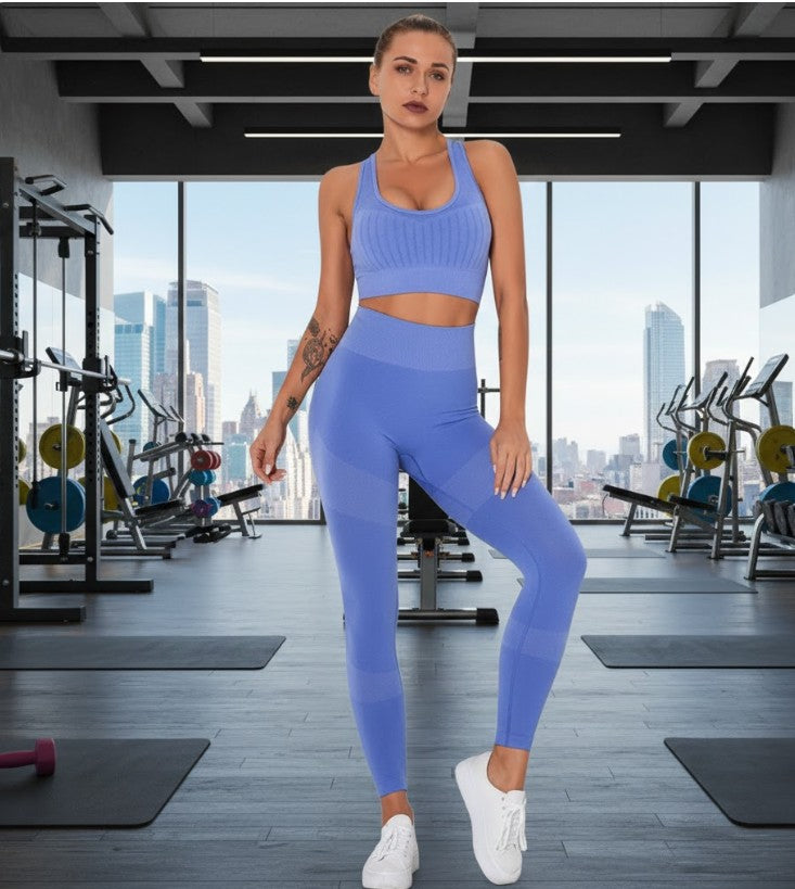 Seamless Yoga Fitness Set Women Sportswear Tank Bra Crop Top Leggings Pants Workout Clothes Gym Clothing 2 Piece Yoga Tracksuit